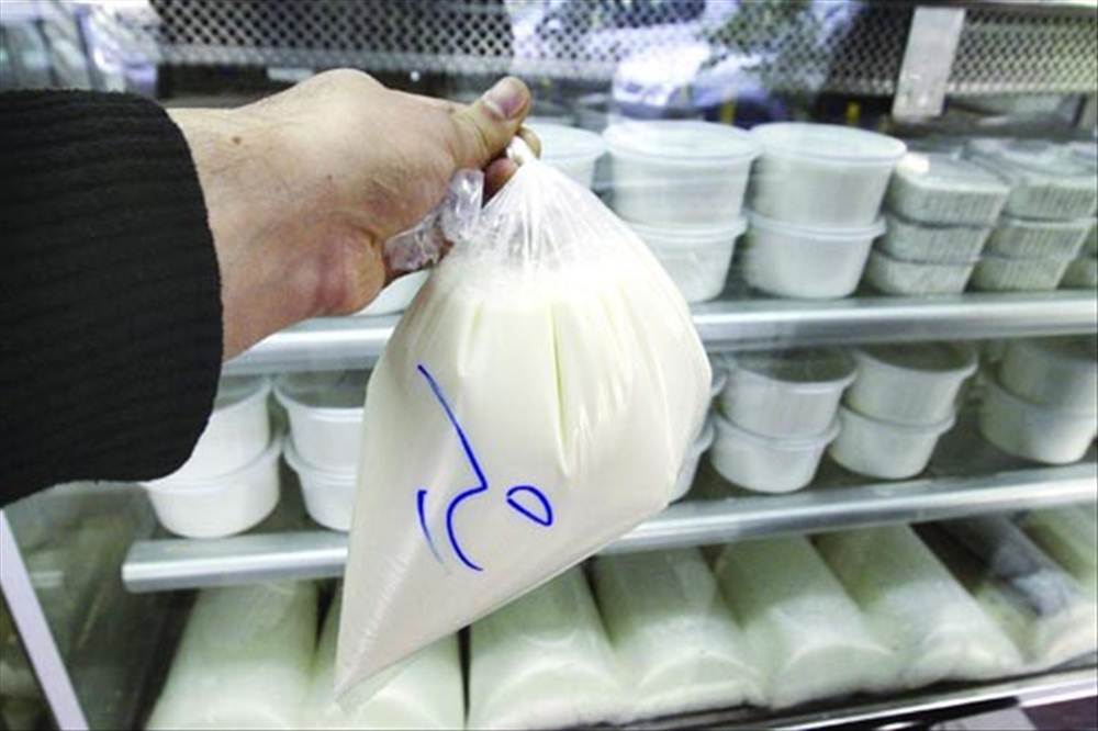 شیر تازه گاو داری