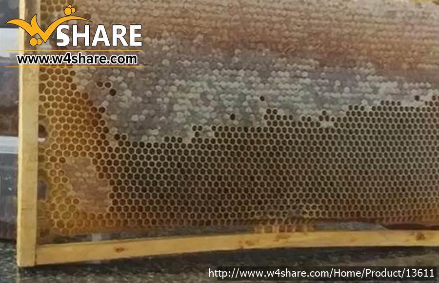عسل درمانی صدرصد طبیعی