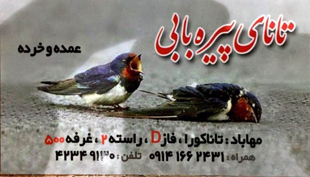 تانای پیره بابی
