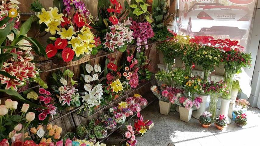گل سرای نارسیس