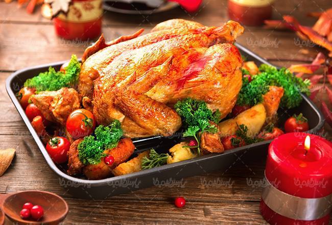 غذای خانگی استاد مجدی