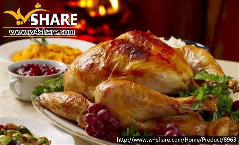 مرغ شکم پر با دورچین کوچک