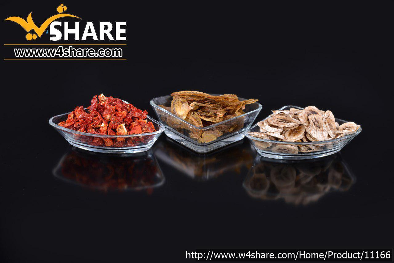 میوه خشک کن اشتاد ashtad