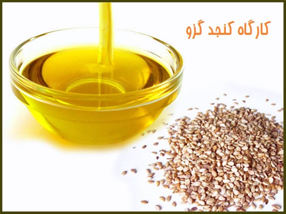 کارگاه ساخت کنجد گزو