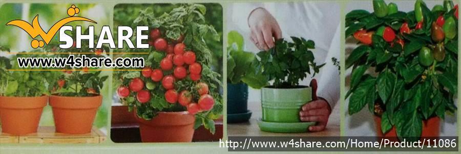 پک شماره یک باغ فدک