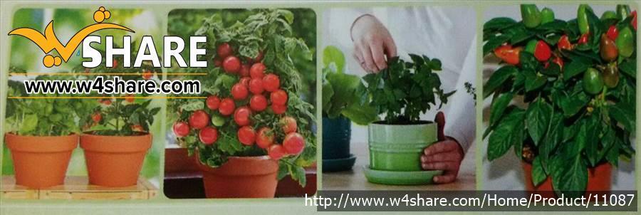 پک شماره 2 باغ فدک
