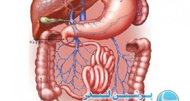 دکتر ایرج برقی | متخصص داخلی