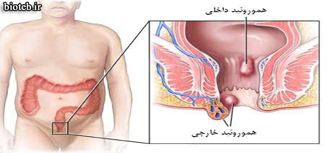 دکتر محمدرضا ثناجو | متخصص داخلی