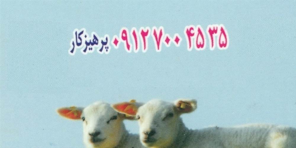 طباخی بره ناقلا