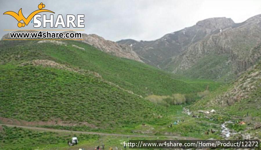 عسل طبیعی کردهانی