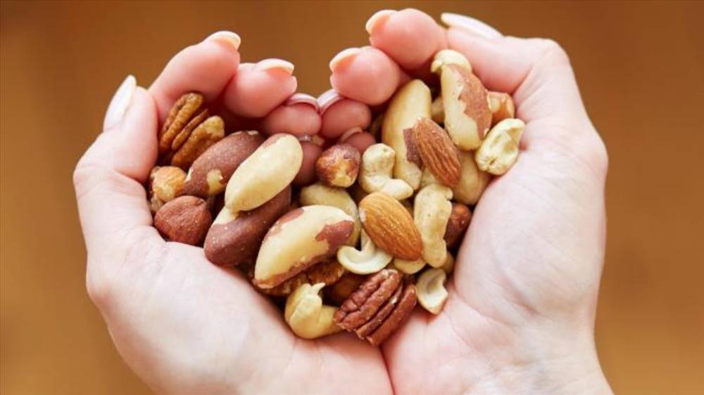 آجیلی نوبخت  | شعبه مهاباد