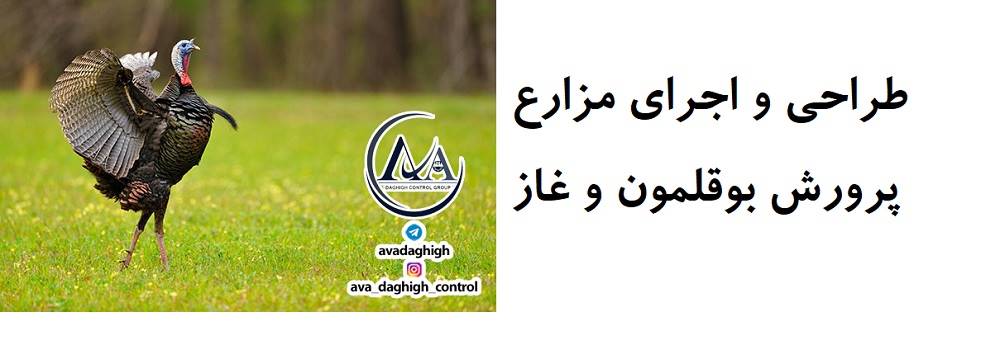 شرکت  آوا دقیق کنترل