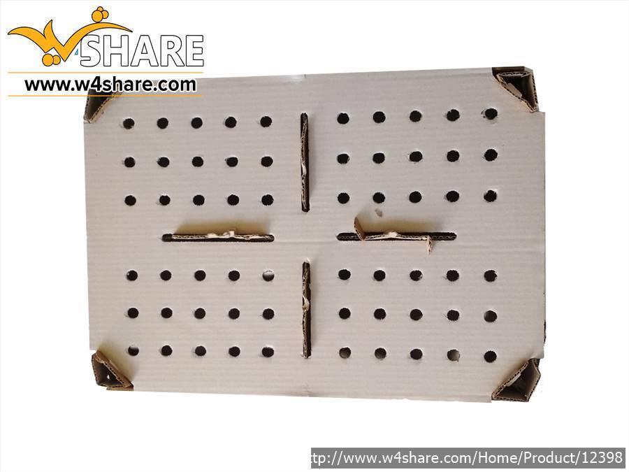 جعبه حمل جوجه یکروزه