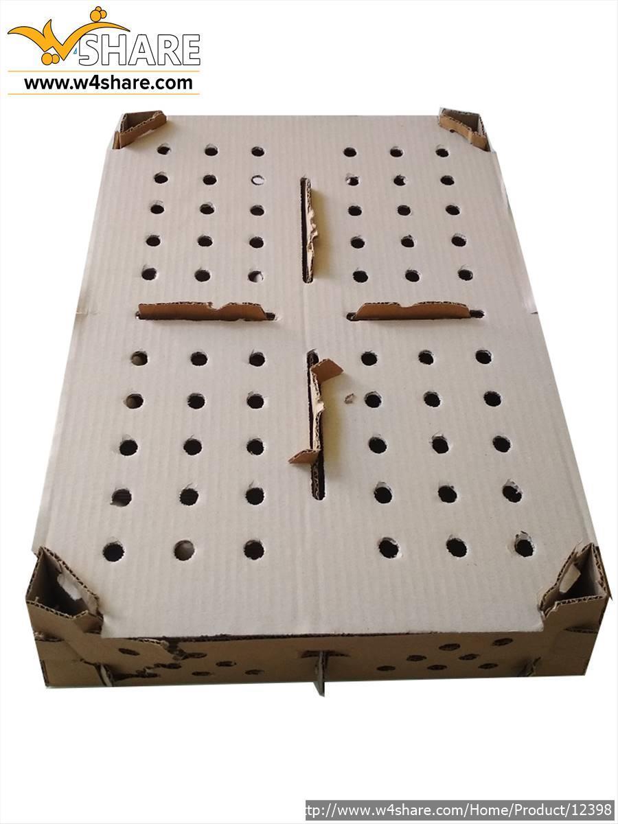 جعبه حمل جوجه یکروزه
