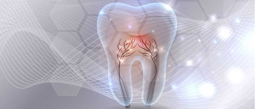 دندانساز فرزاد صدیقی