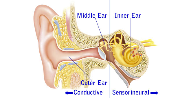 مطب دکتر کریم قراشی|ادیولوژیست