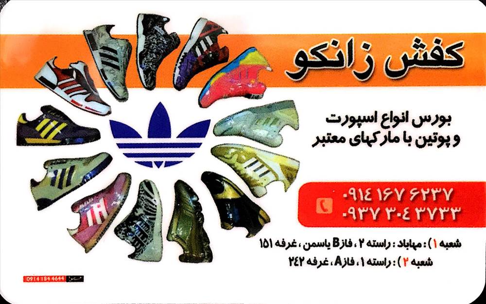 کفش زانکو