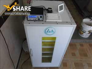 کرایه انواع دستگاه های جوجه کشی