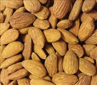 باغ بادام دیمی حاجی