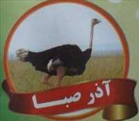 مزرعه پرورش شتر مرغ آذر صبا