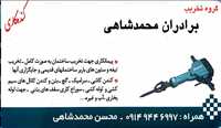 گروه تخریب برادران محمدشاهی