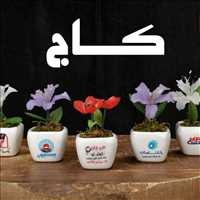 مجموعه چاپ و تبلیغات کاج